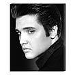 Elvis Presley Portrait Large Stretched Canvas Print